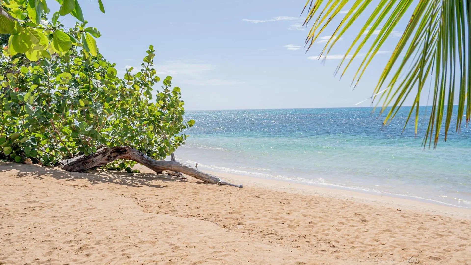 Aparthotel Xeliter Balcones Del Atlantico - Las Terrenas